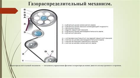 Основная информация о системе газораспределительного механизма автомобиля Kia Spectra