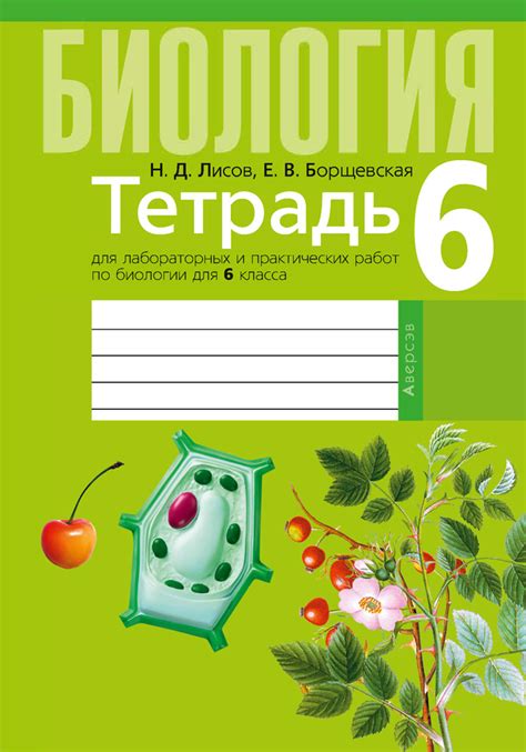 Основные аспекты рассмотрения функции в биологии на уровне 6 класса