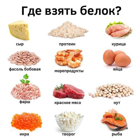 Основные источники белка, жира и углеводов в составе ежедневного рациона