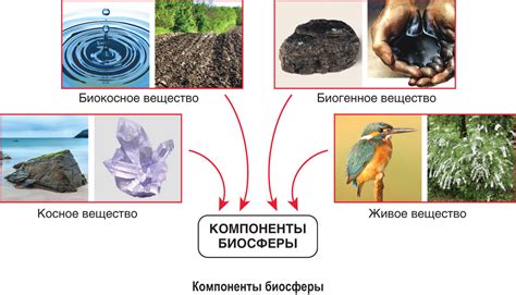 Основные компоненты и элементы