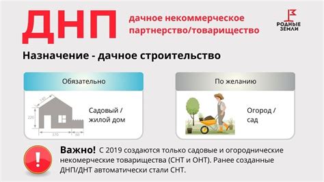 Основные отличия между СНТ и ДНП