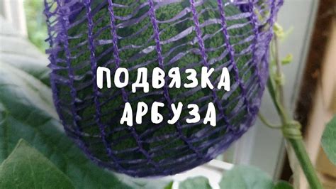Основные ошибки при подвязке