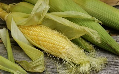 Основные правила выбора и приготовления кукурузы перед сохранением
