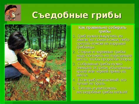 Основные правила сбора