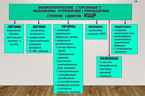 Основные принципы восстановления кислотно-щелочного баланса в организме