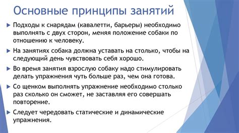 Основные принципы занятий