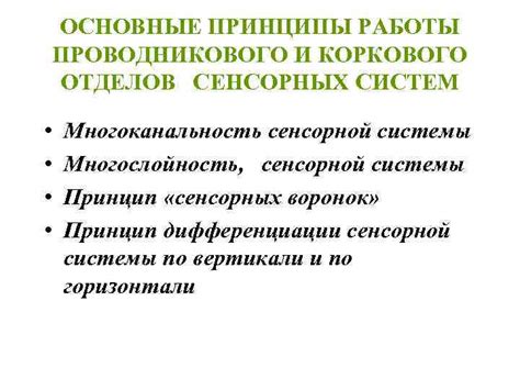 Основные принципы использования сенсорной плиты