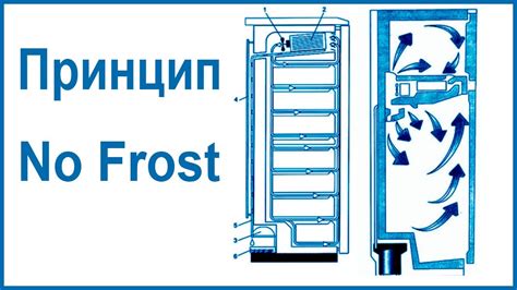 Основные принципы настройки современного холодильника Indesit No Frost