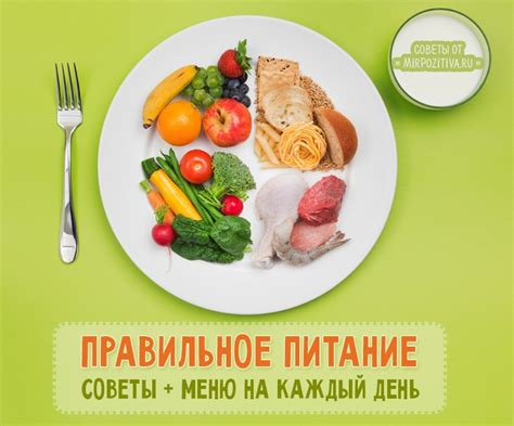Основные принципы питания в исламе