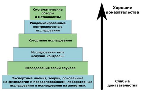 Основные принципы подхода доктора Робика 109 к эффективному восстановлению здоровья