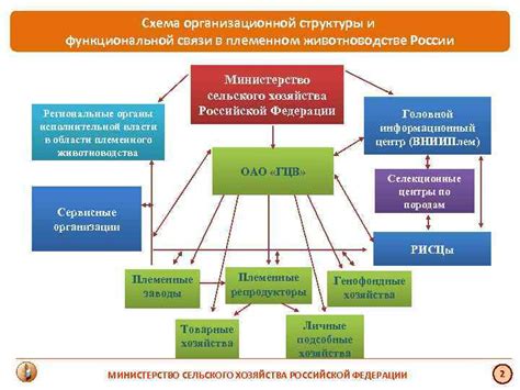 Основные принципы построения функциональной структуры хозяйства