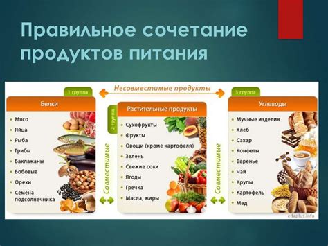 Основные принципы правильного использования укропных семян в горячем блюде