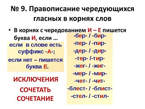 Основные принципы правописания