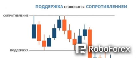 Основные принципы торговли на Форексе