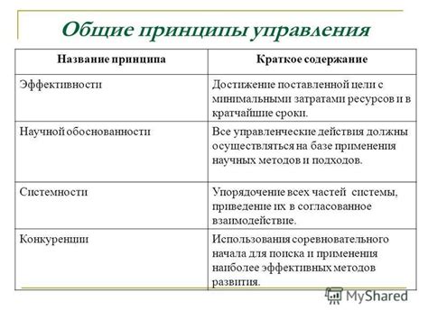 Основные принципы управления цветами в уникальной среде террарии