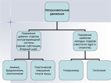 Основные принципы ухода