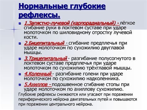 Основные принципы ухода за удзумаки