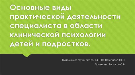 Основные принципы формирования практической деятельности специалиста в области психологии