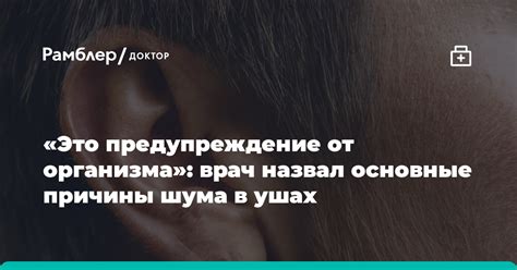 Основные причины возникновения шума в помещении