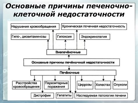 Основные причины и: