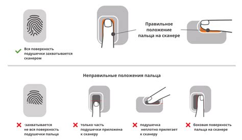 Основные причины невидимой печати на сканере