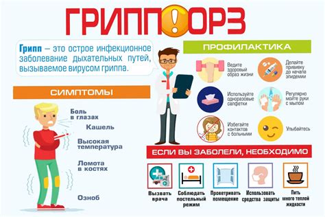 Основные рекомендации зооветеринаров