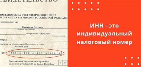 Основные способы определения кода причины для ИП по ИНН
