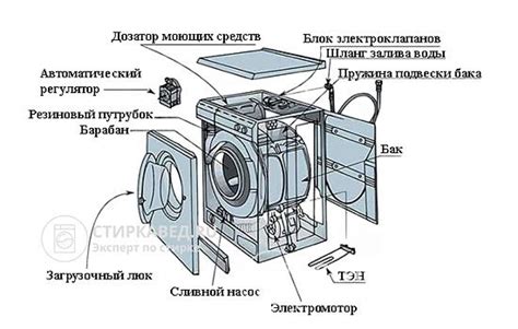 Основные функции крыльчатки в стиральной машине
