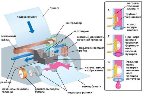 Основные элементы принтера и их функции