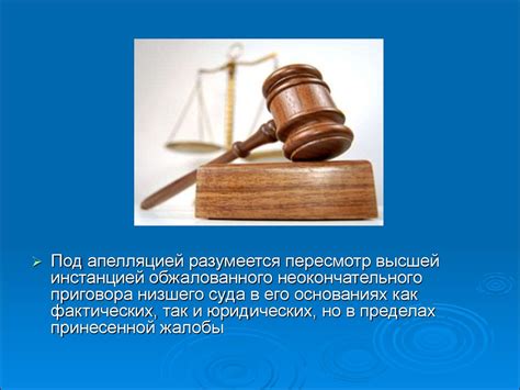 Основополагающие принципы апелляционной инстанции