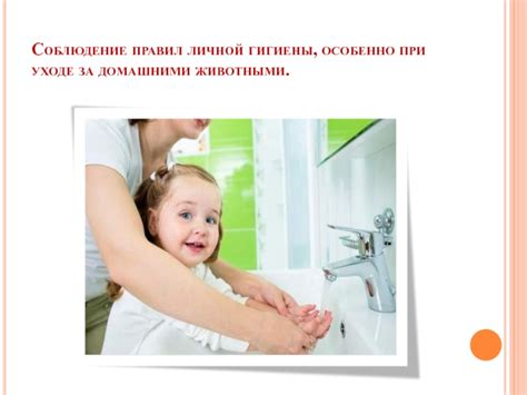 Основы гигиены при уходе за обнаженными представителями кошачьих