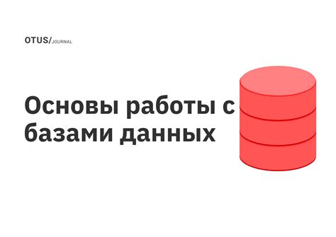 Основы работы с базами данных: изучение ключевых концепций и принципов