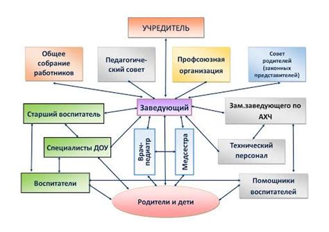 Особенности, функции, взаимосвязи