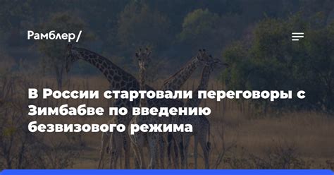 Особенности безвизового режима для белорусов в Зимбабве
