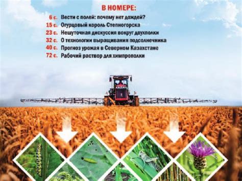 Особенности воздействия на двигатель