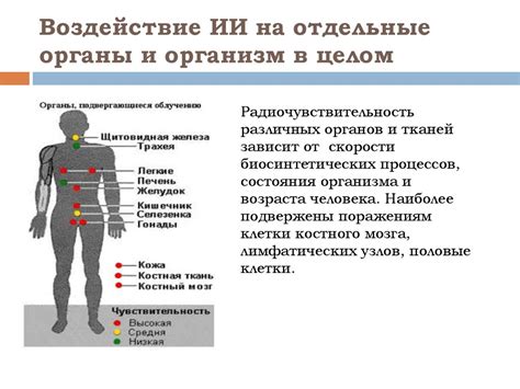 Особенности воздействия на организм