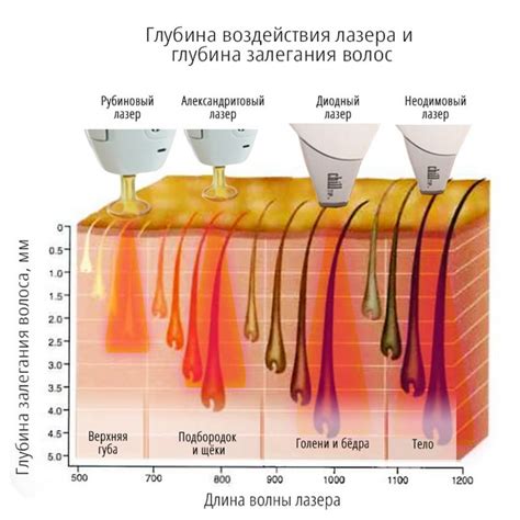Особенности восстановления репродуктивной функции после лазерной эпиляции