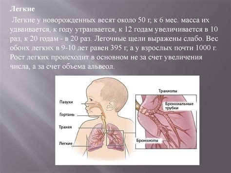 Особенности диагностики детской дыхательной аритмии