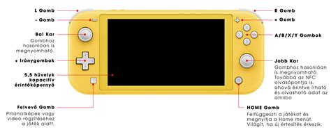 Особенности использования онлайн-сервисов на Nintendo Switch Lite