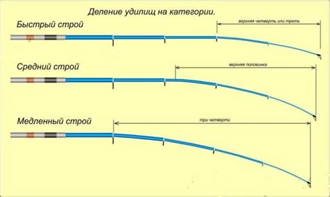 Особенности и применение Матчевых и Болонских удилищ