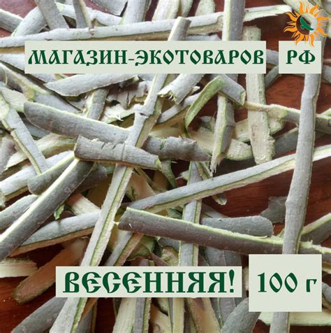 Особенности и риски присутствия осин на огороде