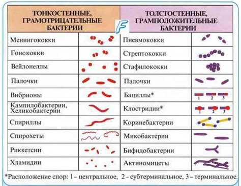 Особенности контактного заражения