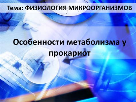 Особенности метаболизма