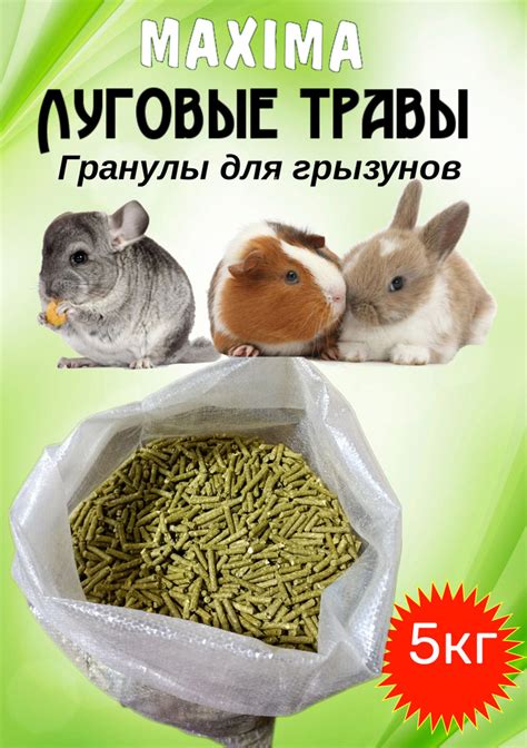 Особенности питания грызунов с кашистым продуктом на основе млека