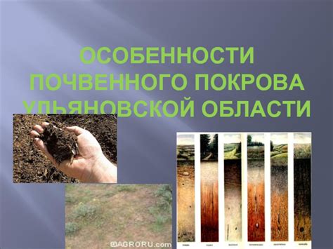 Особенности почвенного покрова