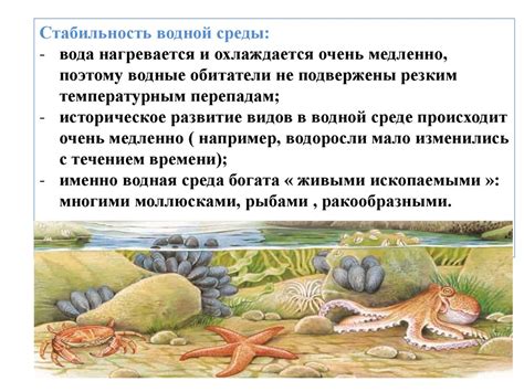 Особенности тренировок в водной среде с использованием смарт-часов
