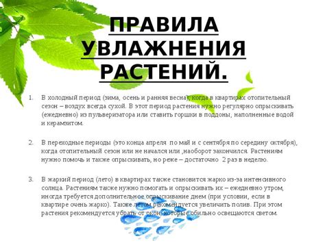 Особенности увлажнения растения в холодный период