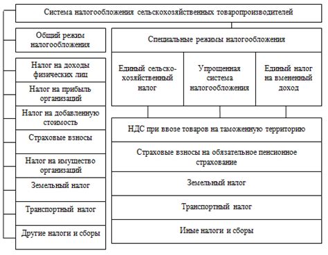 Особенности уплаты налогов в первый год деятельности