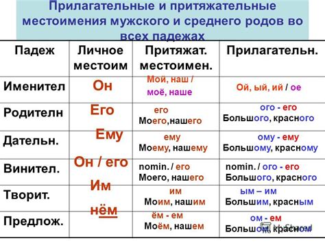 Особенности употребления фамилии Зоря в различных падежах мужского рода