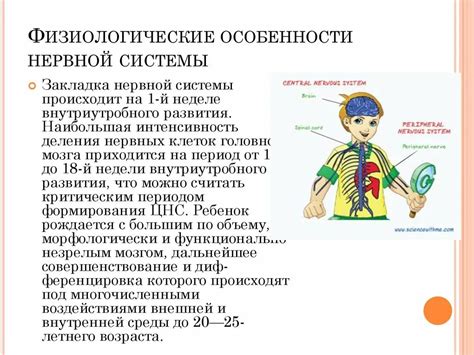 Особенности у человека
